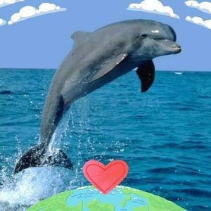 Meet your Posher, Judy